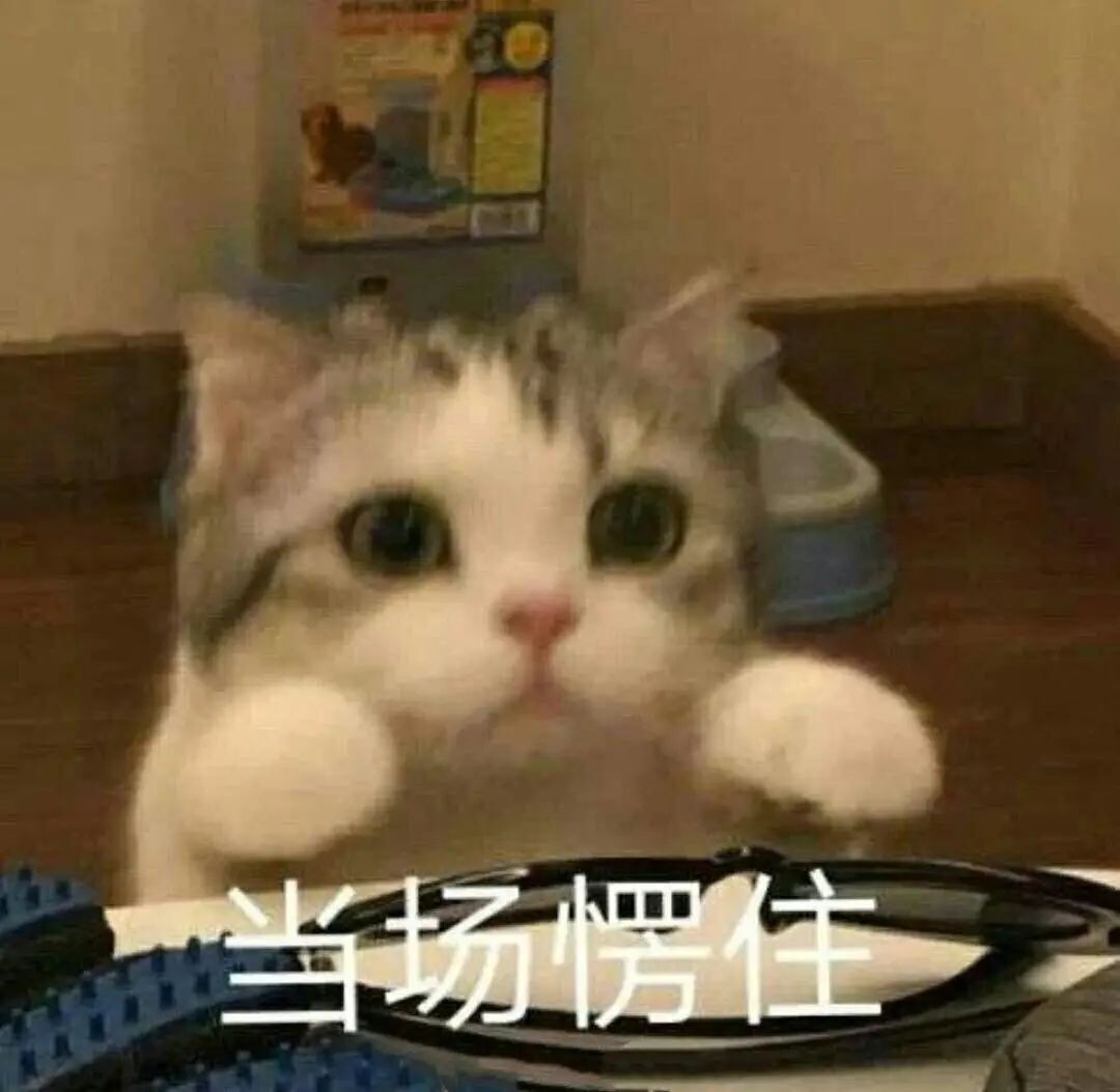DƬ